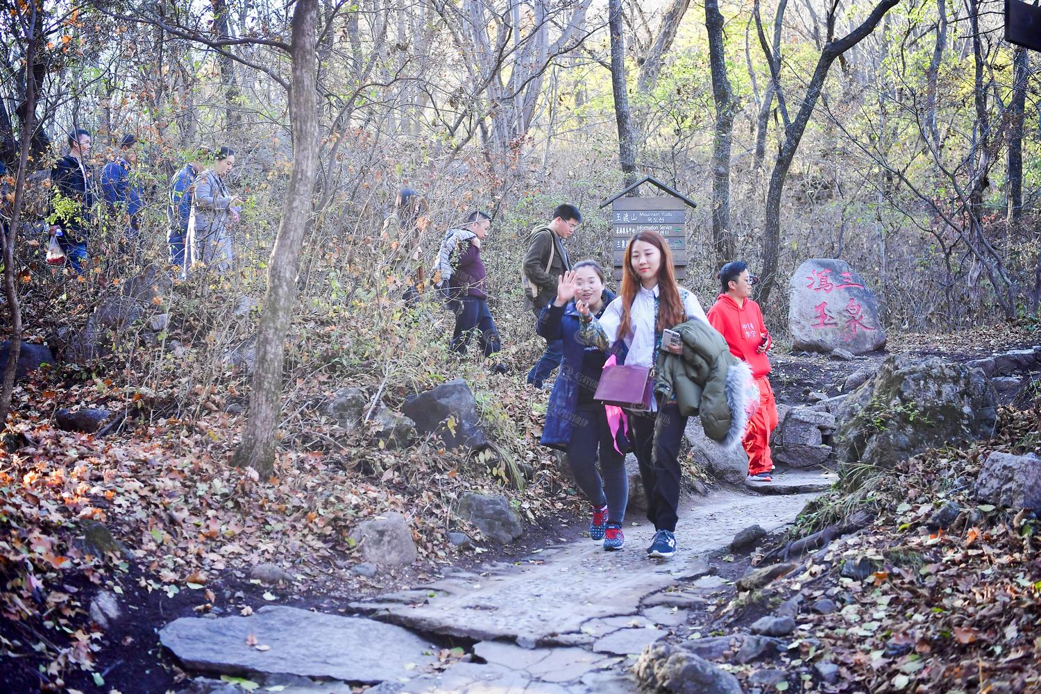 MT0_2593.jpg